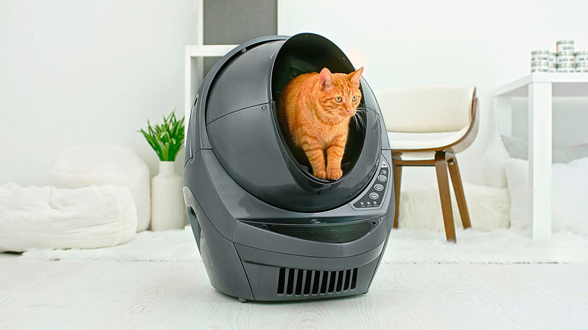 Whisker - Litter-Robot 3 Connect Wi-Fi-Enabled Covered Automatic Self-Cleaning Cat Litter Box - Grey - Image 3