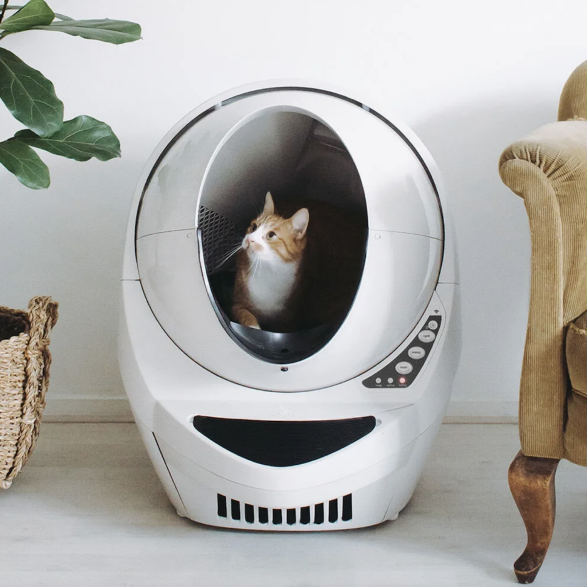 Litter-Robot 3 Connect Automatic Self-Cleaning Litter Box - Beige - Image 6