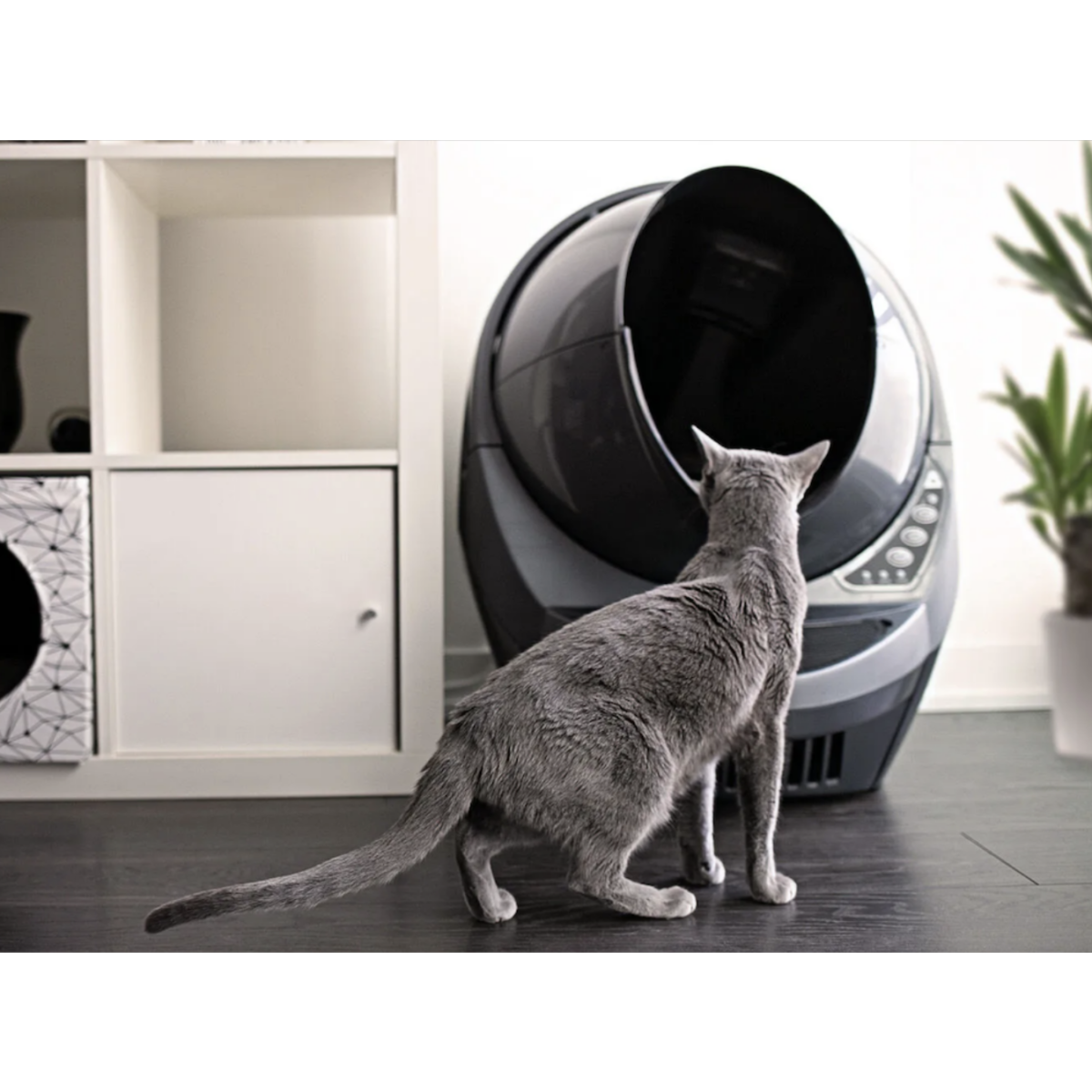 Litter-Robot 3 Connect Automatic Self-Cleaning Litter Box - Grey - Image 5