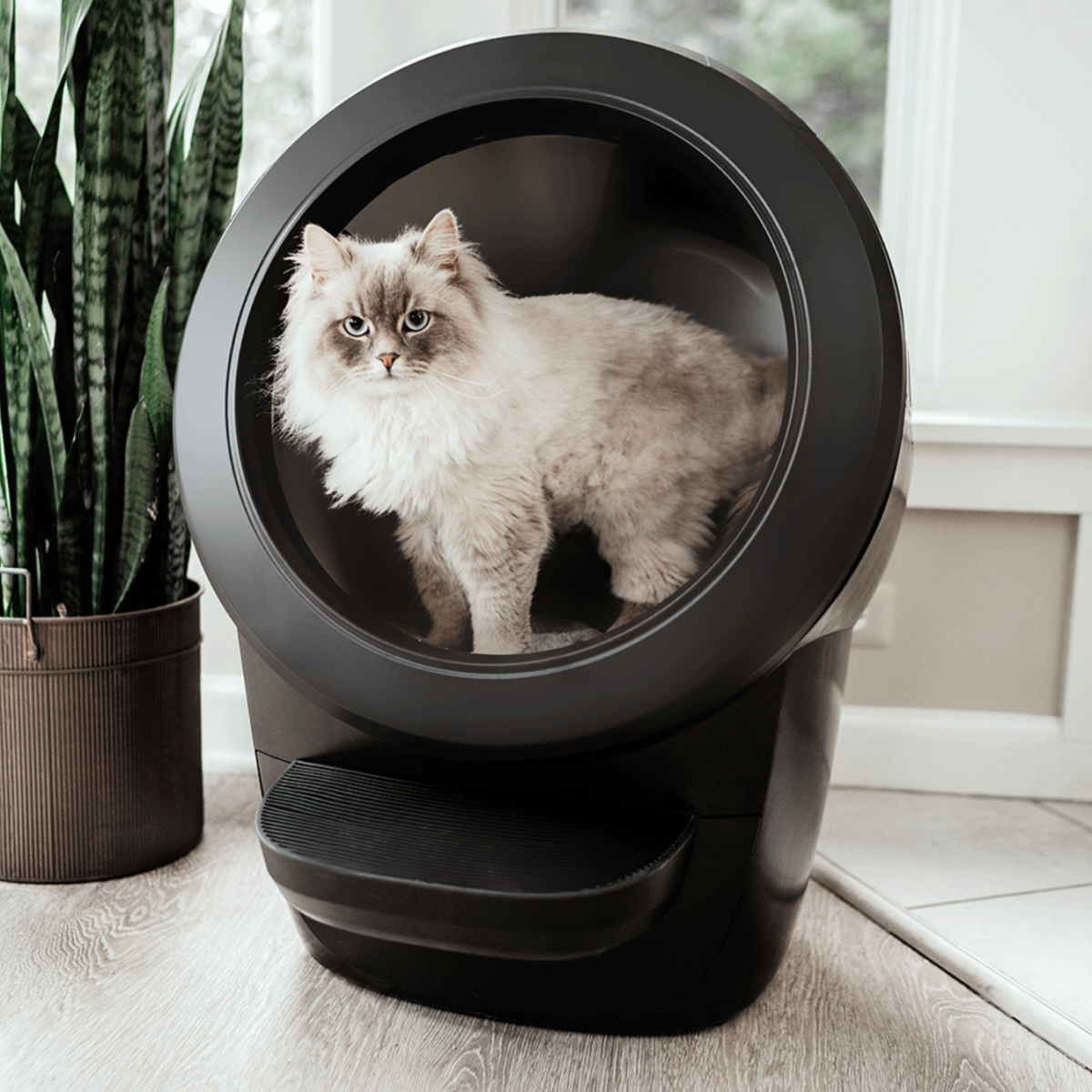 Litter-Robot 4 Automatic Self-Cleaning Litter Box - Black - Image 2