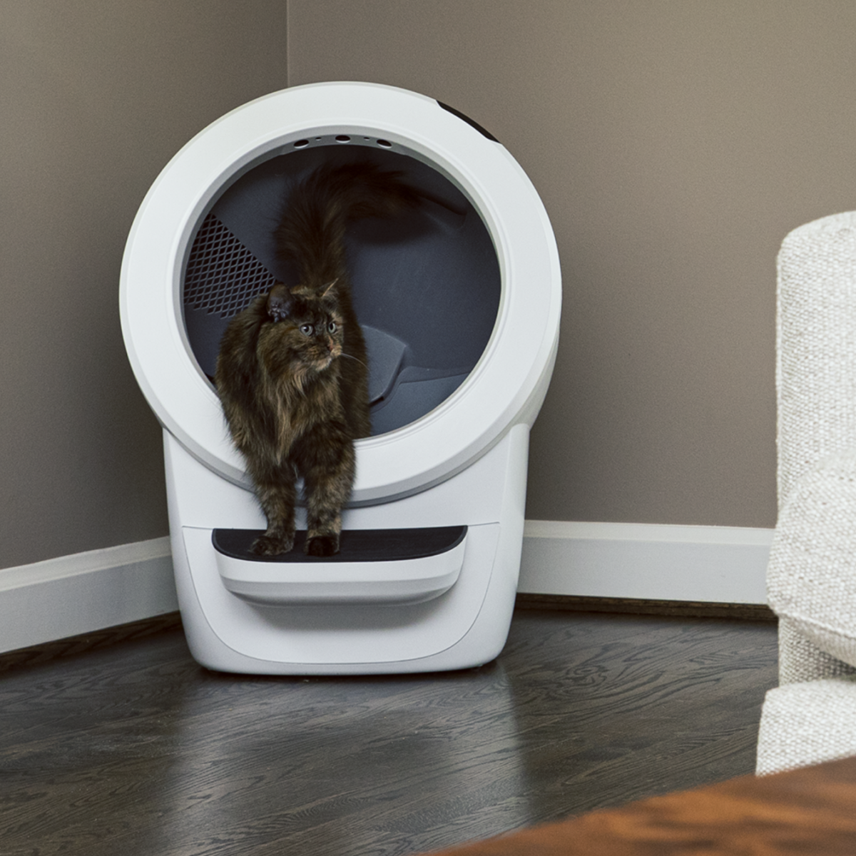 Litter-Robot 4 Automatic Self-Cleaning Litter Box - White - Image 4