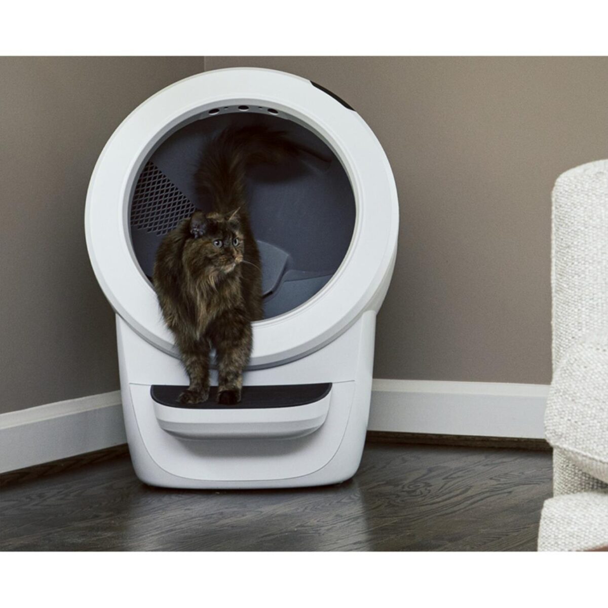 Litter-Robot 4 Automatic Litter Box (White) with 3-Year Warranty - Image 4